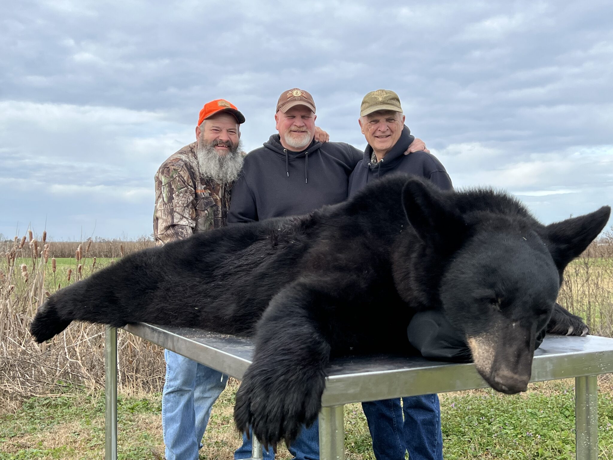 Black Bear Buffalo Creek Guide Service